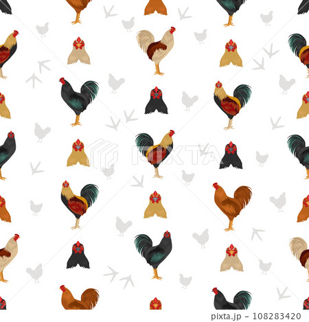 American Game Chicken breeds seamless pattern. Poultry and farm animals. Different colors set 108283420