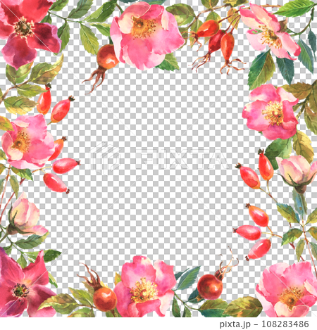 Rosehip Frame. Flowers, leaves and fruits of wild roses. Briar, watercolor painting for decoration. Rosehip Frame. Flowers, leaves and fruits of wild roses. Briar, watercolor painting for decoration. 108283486