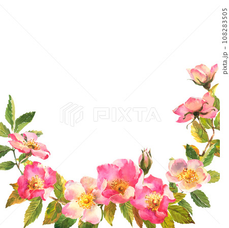 Rosehip Frame. Flowers, leaves and fruits of wild roses. Briar, watercolor painting for decoration. 108283505