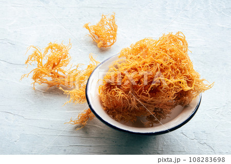 Irish sea moss, Chondrus Crispus, healthy organic raw seaweed, dried 108283698