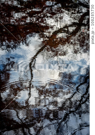 下鴨神社の秋、糺の森の奈良の小川に映る秋の空と樹影、波紋の描く同心円 108285730