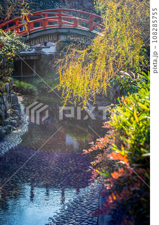 下鴨神社の秋、御手洗川にかかる太鼓橋「輪橋」と秋色の草花 108285755