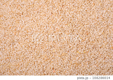 Raw white sesame seeds or grains in a bowl on a textured concrete background Raw white sesame seeds or grains in a bowl on a textured concrete background 108286014