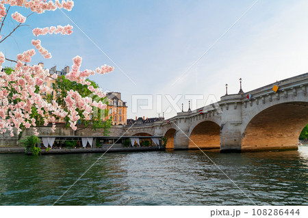 Bridge of Alexandre III, Paris, France 108286444