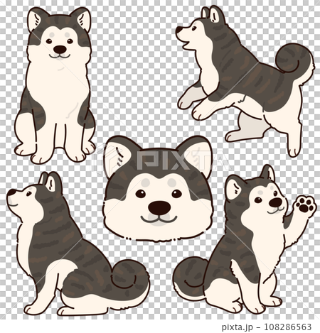 シンプルで可愛い虎毛の秋田犬のイラストセット　主線あり 108286563