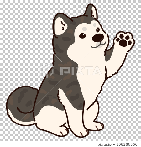 手を振るシンプルで可愛い虎毛の秋田犬のイラスト 主線あり 手を振るシンプルで可愛い虎毛の秋田犬のイラスト 主線あり 108286566