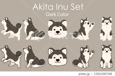 シンプルで可愛い虎毛の秋田犬のイラストセット　主線ありと主線なし 108286596