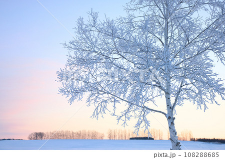 霧氷と朝焼け 108288685
