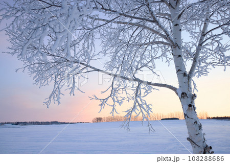 霧氷と朝焼け 108288686