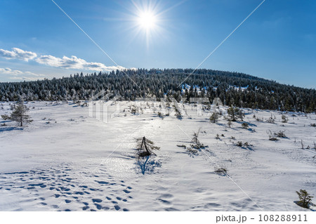 Sunny winter day at Cihadla peat-bog in Jizera Mountains, Czechia Sunny winter day at Cihadla peat-bog in Jizera Mountains, Czechia 108288911