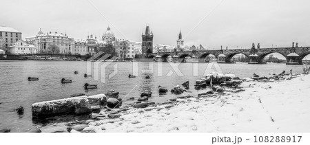 Charles Bridge and Vltava river in wintertime. Ducks in cold water. Prague, Czech Republic. Black and white image. Black and white image. 108288917