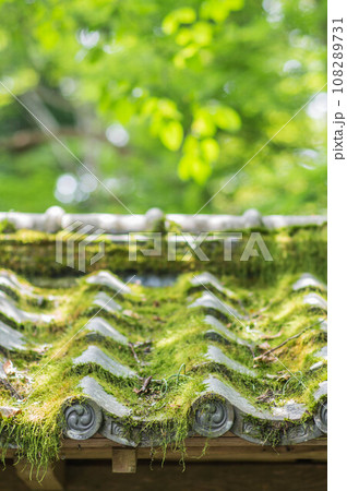 日本の寺院の芸術的な屋根と美しい新緑 108289731