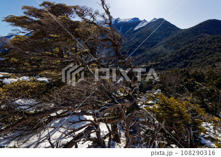 冬の奥秩父・大日岩から見る金峰山 108290316