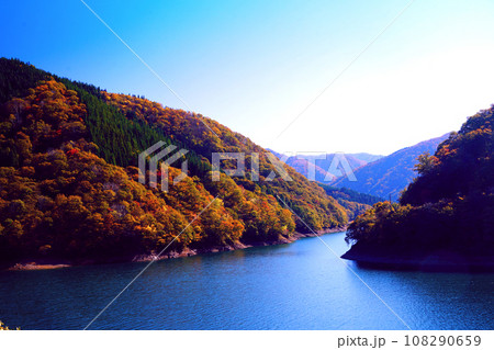 九頭竜湖の秋と紅葉　 108290659