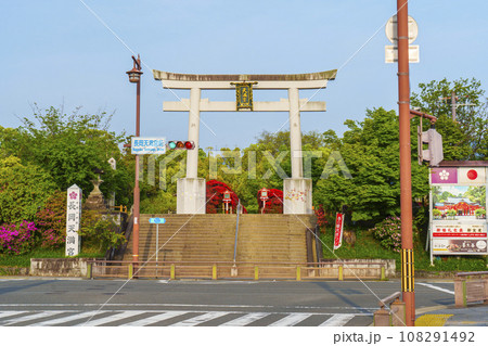 長岡天満宮 満開のキリシマツツジ 正面鳥居(京都府長岡京市天神) 長岡天満宮 満開のキリシマツツジ 正面鳥居(京都府長岡京市天神) 108291492