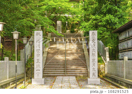 長岡天満宮　二の鳥居跡　新緑に包まれた参道（京都府長岡京市） 108291525