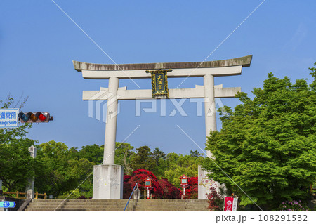 長岡天満宮 満開のキリシマツツジ 正面鳥居(京都府長岡京市天神) 長岡天満宮 満開のキリシマツツジ 正面鳥居(京都府長岡京市天神) 108291532