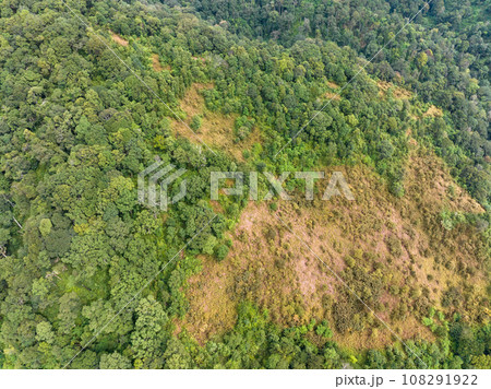The biggest cause of forest loss is agricultural deforestation ,environmental damage in Southeast Asia , global warming and environment. The biggest cause of forest loss is agricultural deforestation ,environmental damage in Southeast Asia , global warming and environment. 108291922