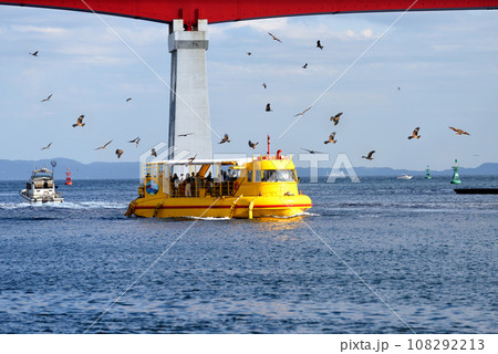城ヶ島大橋の下を走る観光船と海鳥 108292213