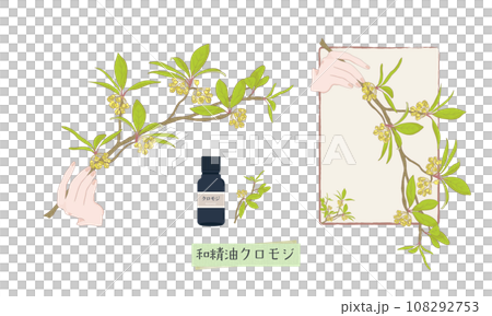 手持 Kuromoji、Kuromoji 精油、香氣、日本精油 108292753