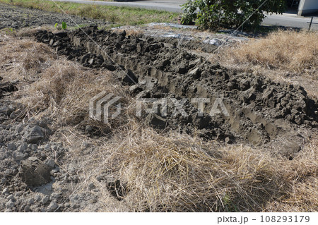 畑の土作り 土中堆肥作り 畑の土作り 土中堆肥作り 108293179