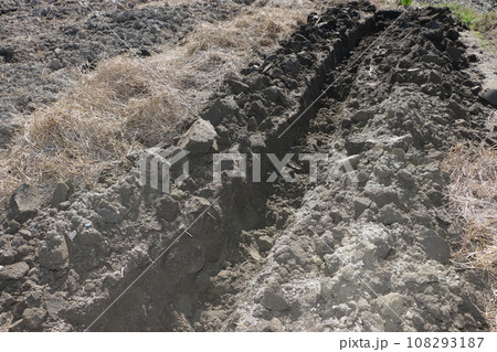 畑の土作り　土中堆肥作り 108293187