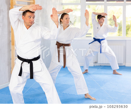 Athletes have starting position and repeating sequence of punches and painful techniques in kata 108293630