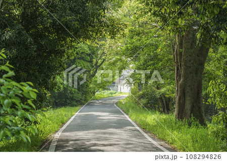 嵐山公園中之島地区 嵐山公園中之島地区 108294826