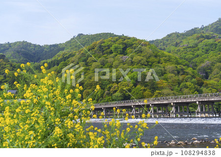 京都嵐山 新緑の渡月橋と菜の花 京都嵐山 新緑の渡月橋と菜の花 108294838