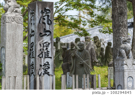 おびただしい数の羅漢像（嵐山羅漢） 108294845