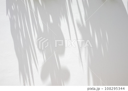 Abstract natural tree leaves on white wall background 108295344