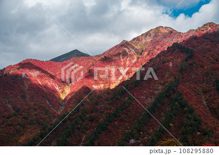 谷川岳から見た紅葉 108295880