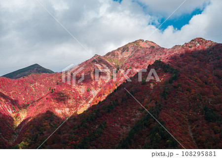 谷川岳から見た紅葉 108295881