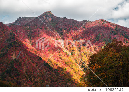 谷川岳から見た紅葉 108295894