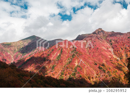 谷川岳から見た紅葉 108295952