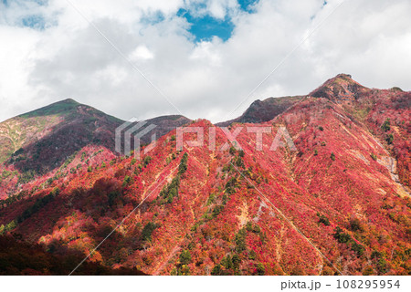 谷川岳から見た紅葉 108295954