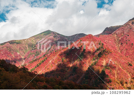 谷川岳から見た紅葉 108295962