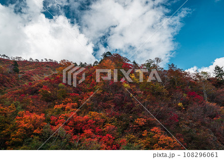 谷川岳の紅葉 谷川岳の紅葉 108296061