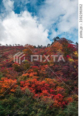 谷川岳の紅葉 谷川岳の紅葉 108296062