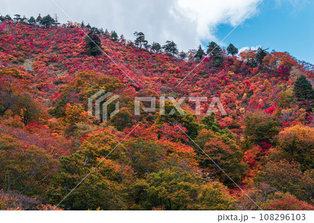 谷川岳の紅葉 谷川岳の紅葉 108296103
