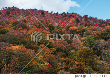 谷川岳の紅葉 108296118