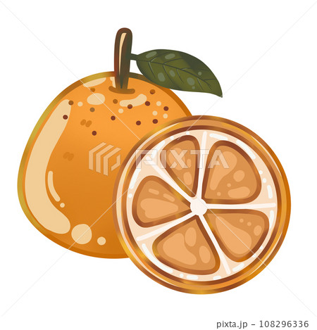Orange Fruit Illustration 108296336