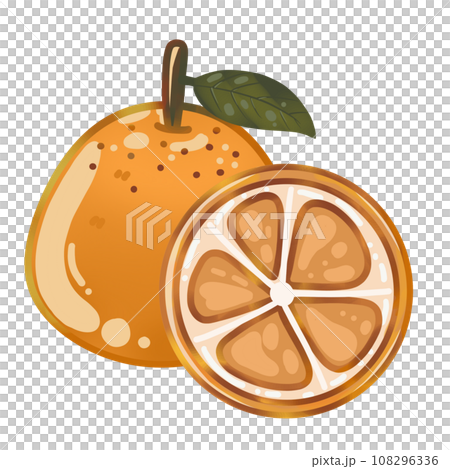 Orange Fruit Illustration 108296336