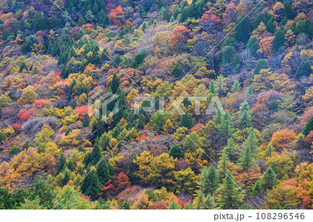 榛名湖の紅葉 榛名湖の紅葉 108296546