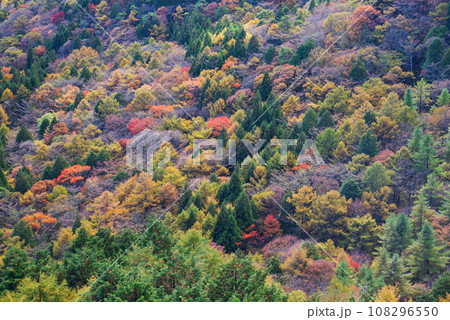 榛名湖の紅葉 榛名湖の紅葉 108296550