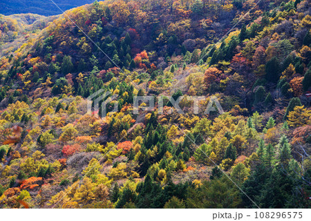 榛名湖の紅葉 榛名湖の紅葉 108296575