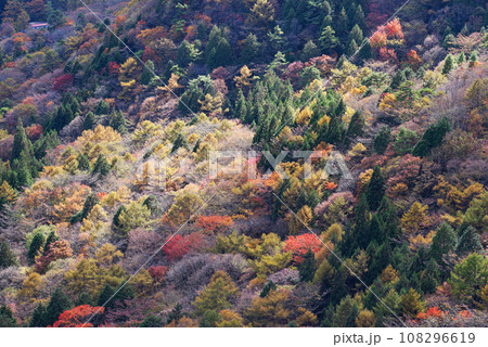 榛名湖の紅葉 108296619