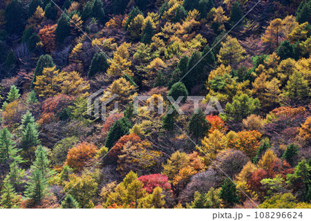 榛名湖の紅葉 榛名湖の紅葉 108296624