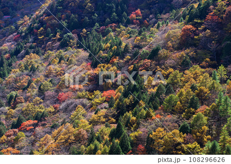 榛名湖の紅葉 榛名湖の紅葉 108296626