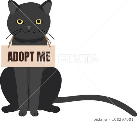 pet adoption and fostering concept. Homeless Furry Friend with Adoptable Collar. Black Cat with 'Adopt Me' Collar pet adoption and fostering concept. Homeless Furry Friend with Adoptable Collar. Black Cat with 'Adopt Me' Collar 108297001